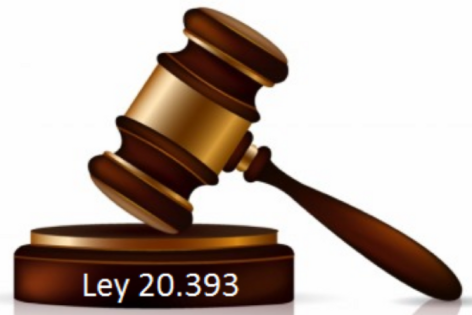 LEY 20393